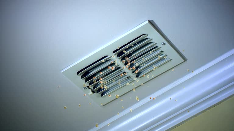 Best Best Air Duct Cleaning Company  in West Bishop, CA