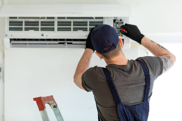 Best Air Duct Mold Removal  in West Bishop, CA